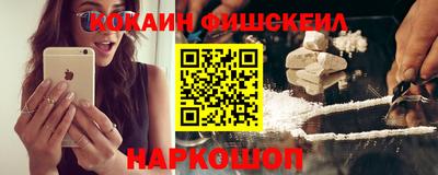 индика Кингисепп