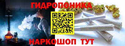 индика Кингисепп