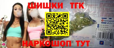 индика Кингисепп
