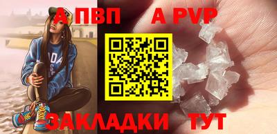 индика Кингисепп