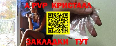 индика Кингисепп