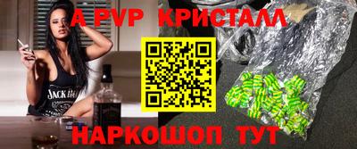индика Кингисепп