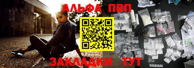 индика Кингисепп
