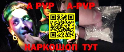 индика Кингисепп