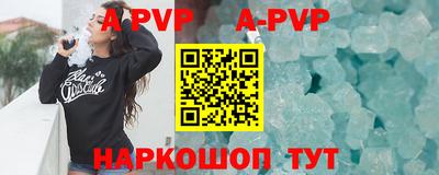 индика Кингисепп
