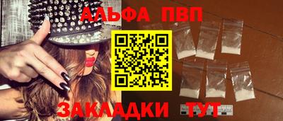 индика Кингисепп