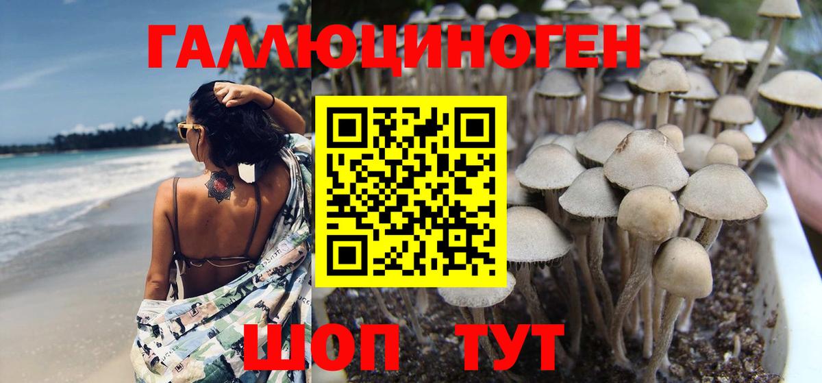 Псилоцибиновые грибы мицелий  Вход с VPN  Клинцы 